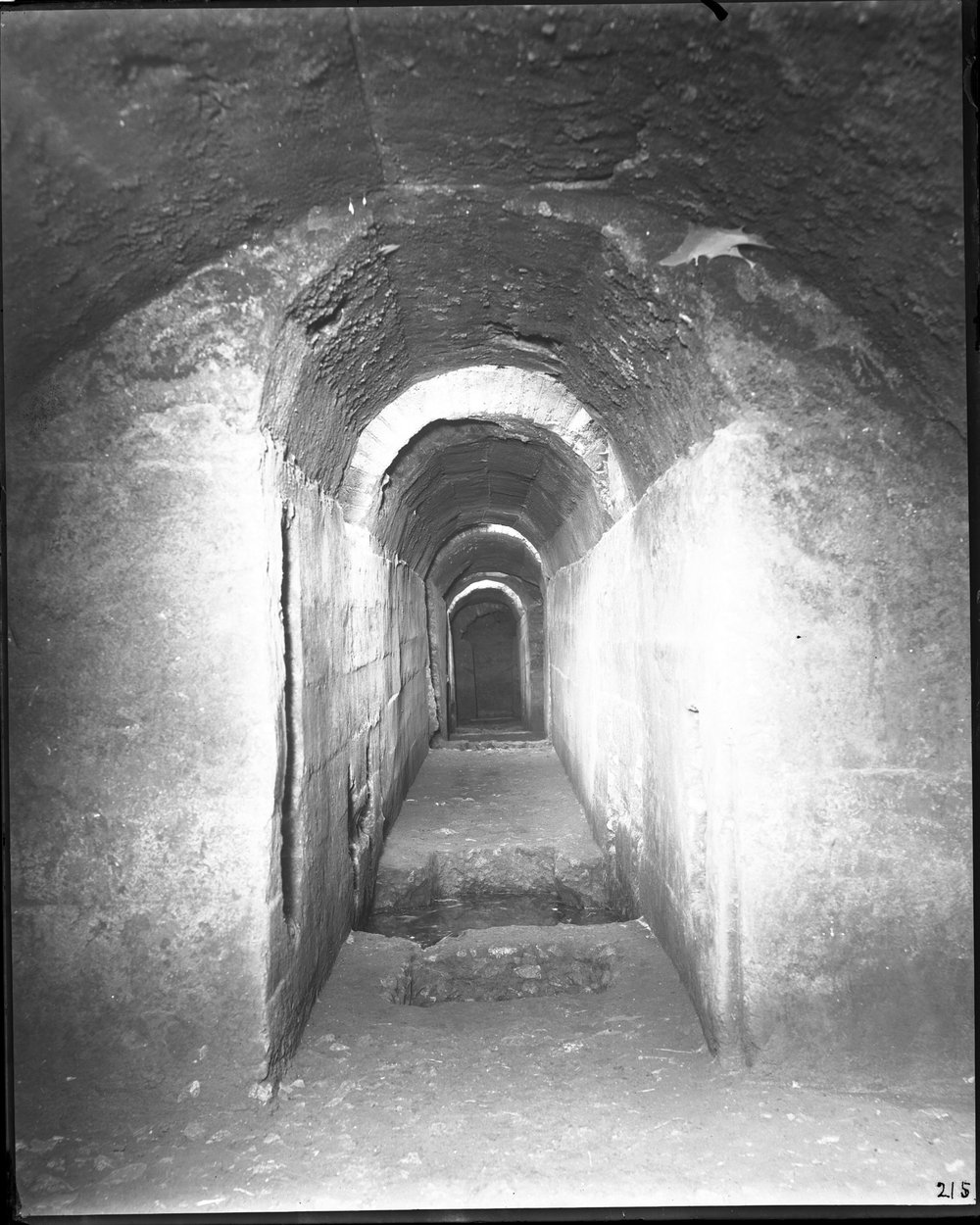 Gallerie cesaree 215-asf015248.jpg