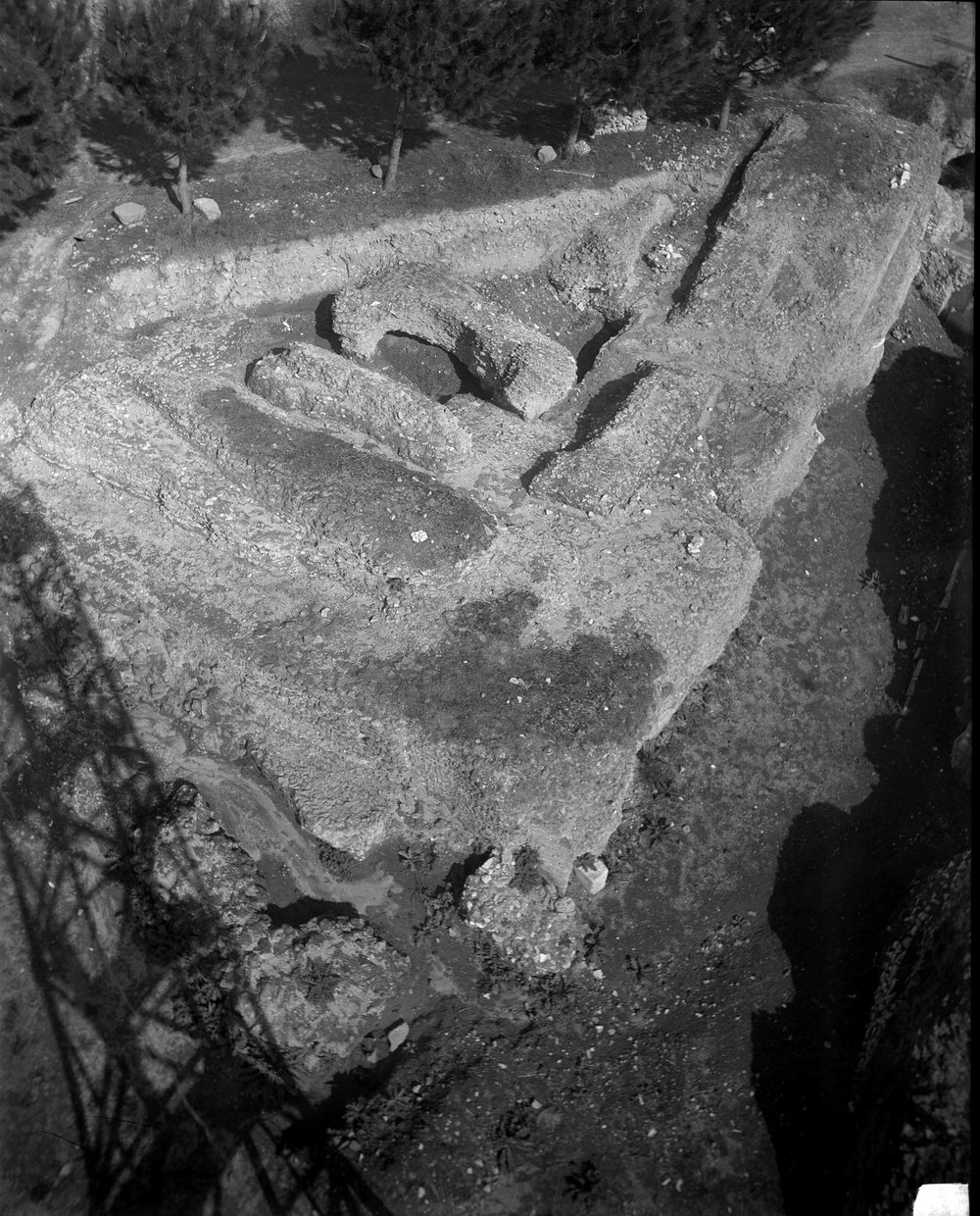 Clivo Palatino 611-asf015109.jpg