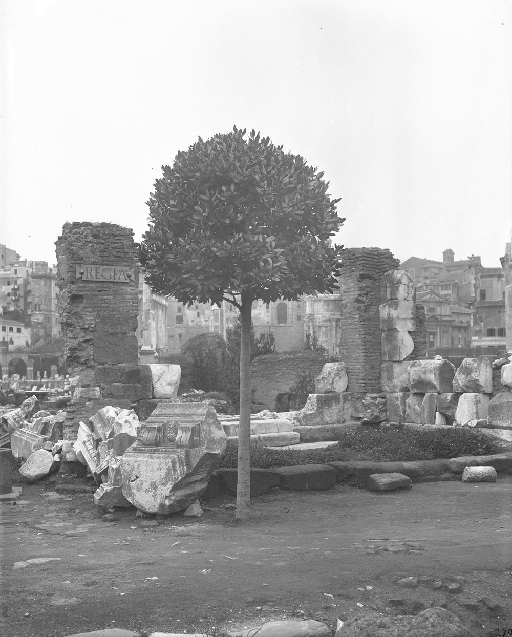 Regia 270-asf015354.jpg