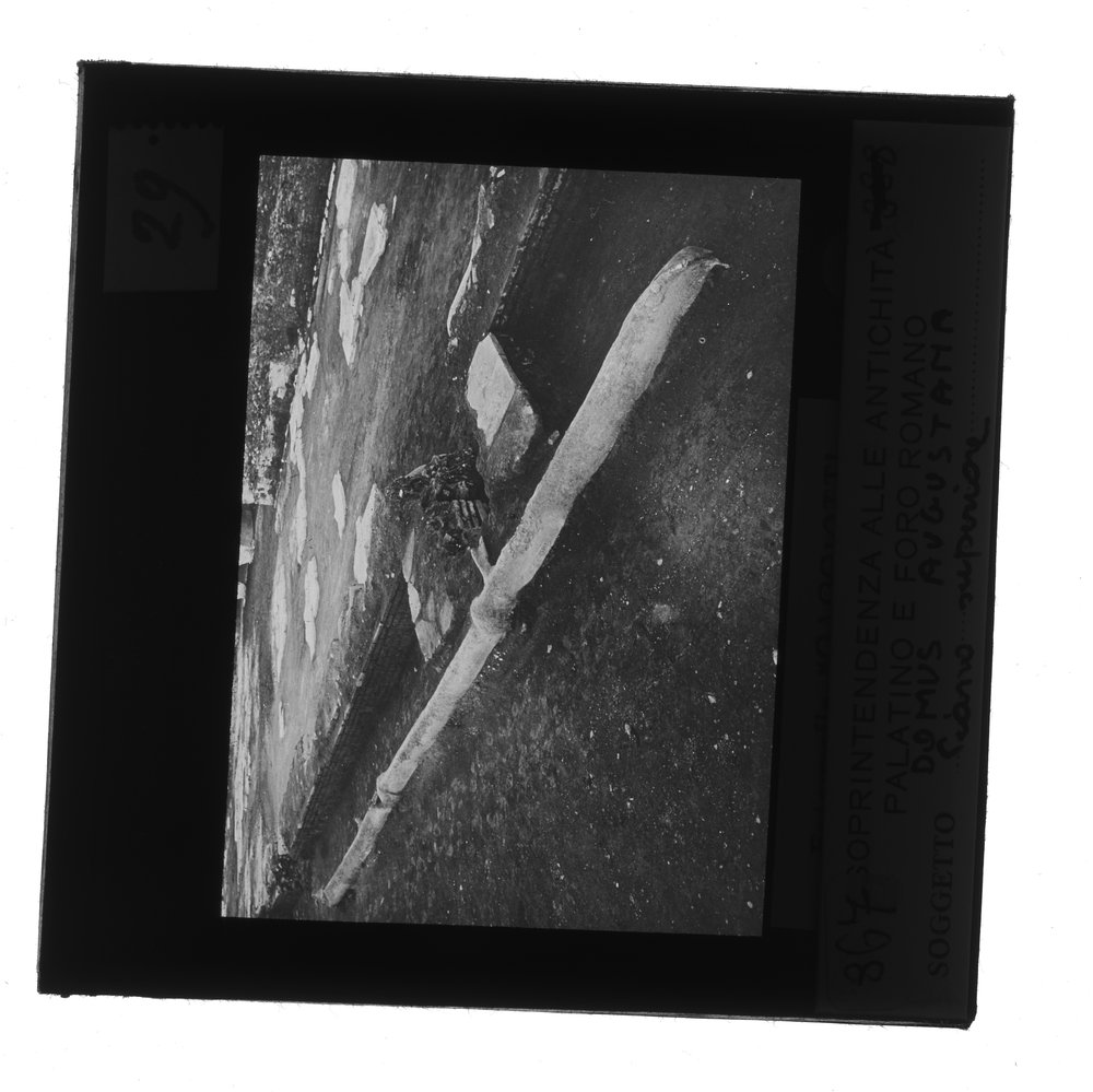 Dipaositiva 8X8 - 867.tif