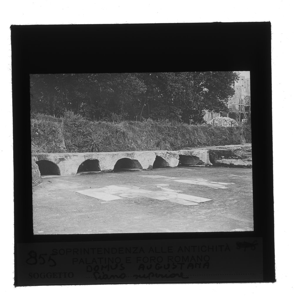 Dipaositiva 8X8 - 855.tif