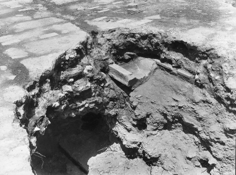 003459 - scavo archeologico - Domus Augustana, peristilio superiore: particolare durante lo scavo