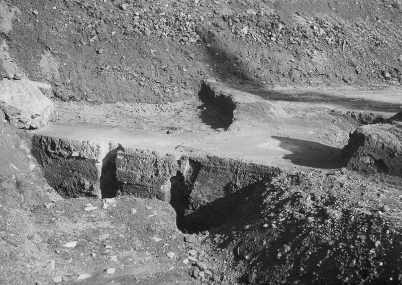 003512 - scavo archeologico - Domus Augustana, verso il Circo Massimo: lato destro in corso di scavo, 1929