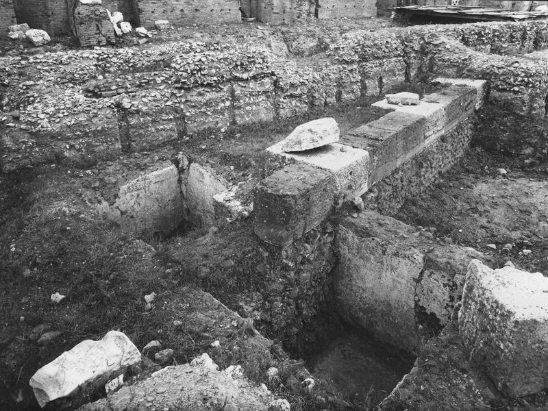 003656 - scavo archeologico - Domus Flavia, aula regia: veduta degli scavi da Est, 1962