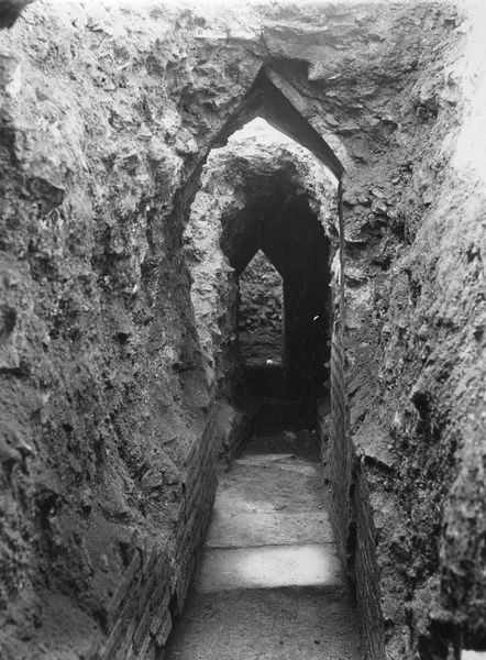 003659 - scavo archeologico - Domus Flavia, aula regia: scavi sotto l'aula; fogna imperiale al centro dell'aula