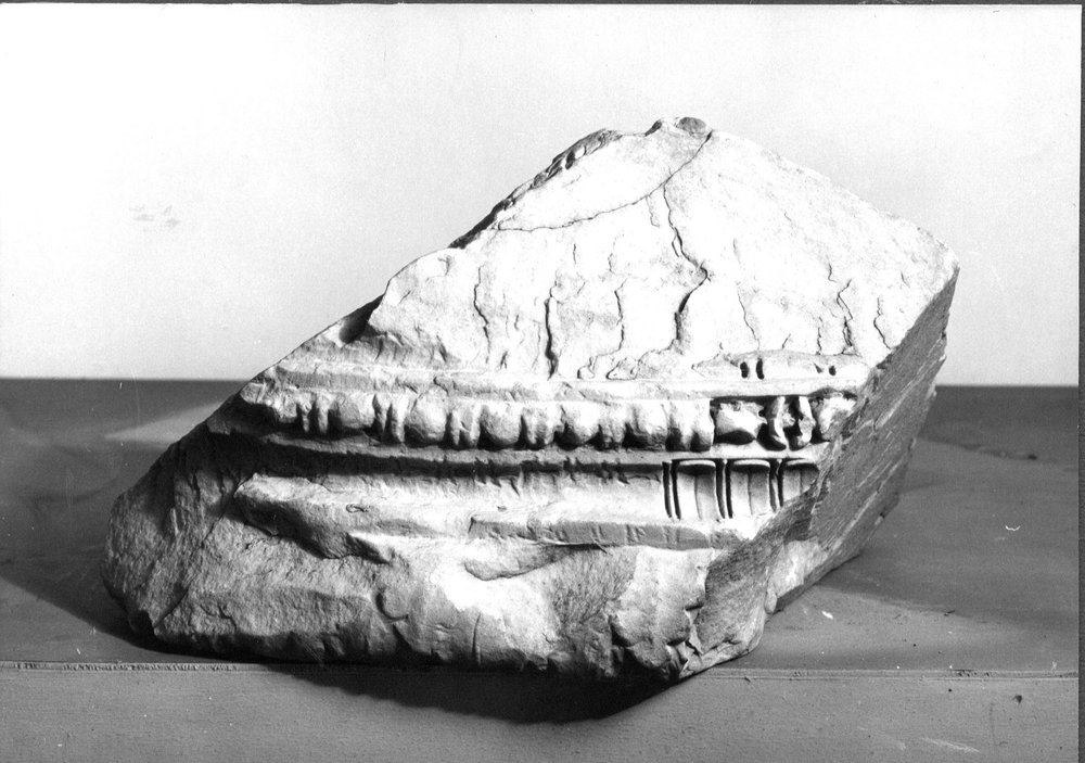 AF-AM 17-asf016704.jpg