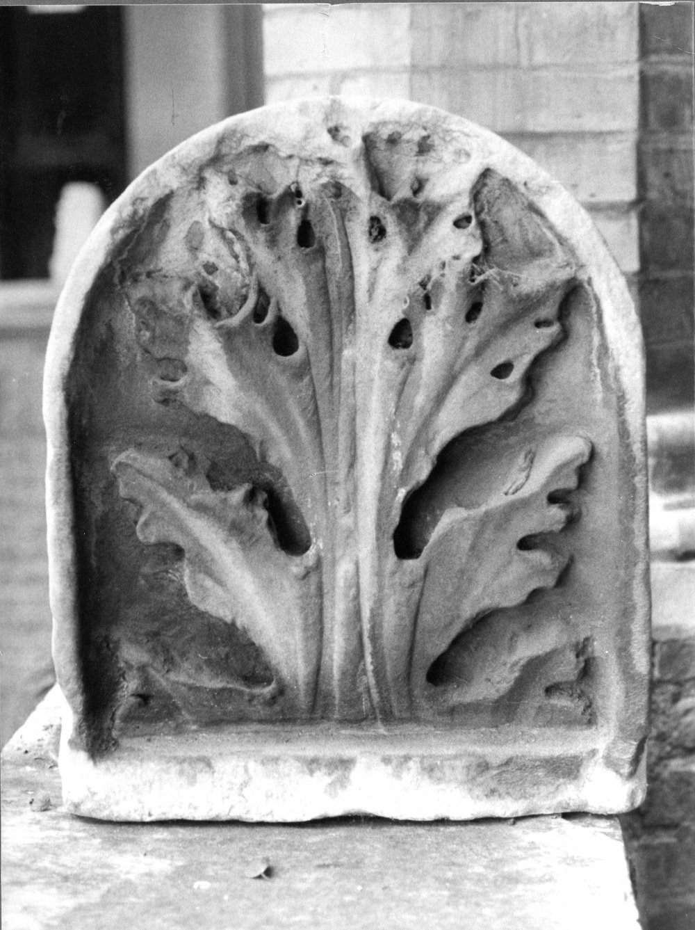 AF-AM 7-asf016685.jpg