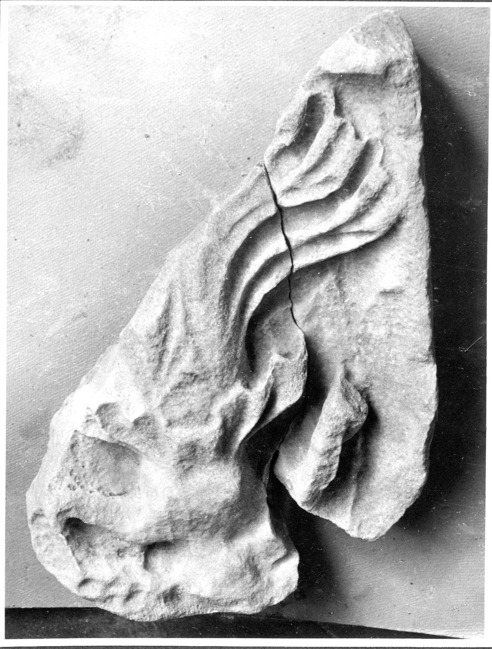 AF-AM 6-asf016684.jpg