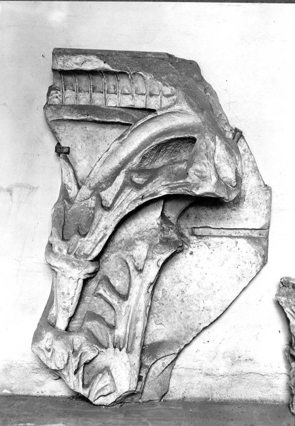 AF-AM 42-asf016733.jpg