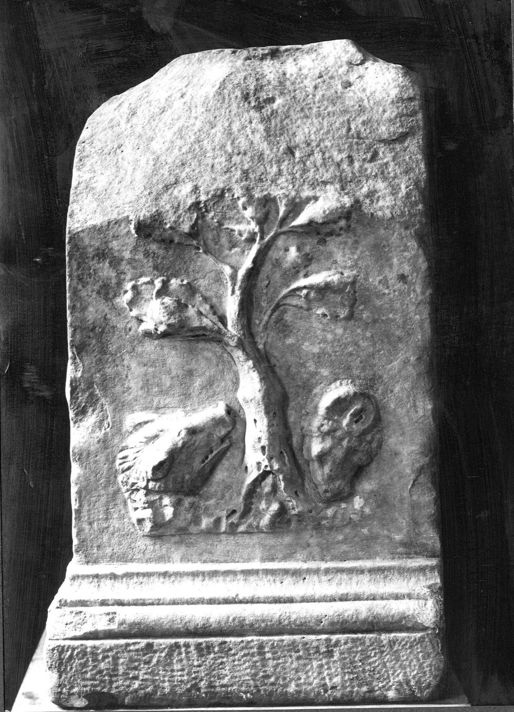 AF-AM 27-asf016715.jpg