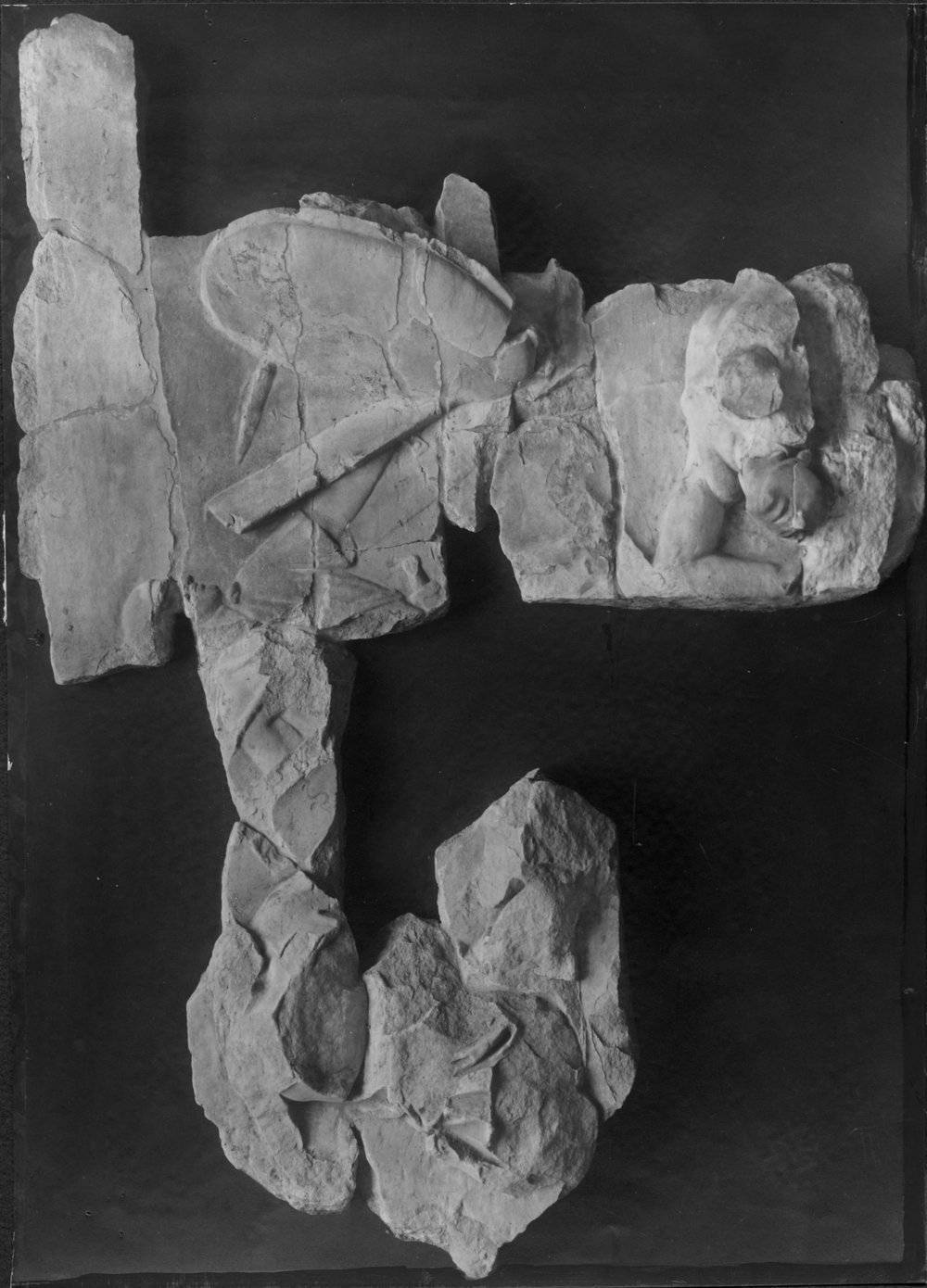 AF - F 079-asf019121.jpg