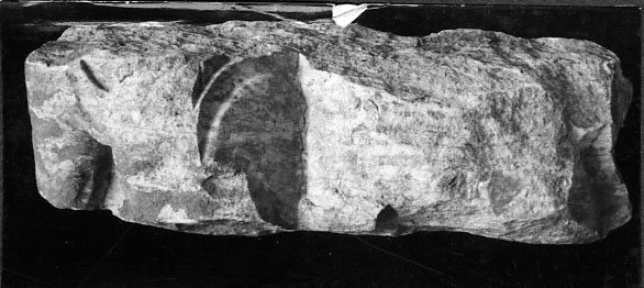 AF - F 071-asf017670.jpg