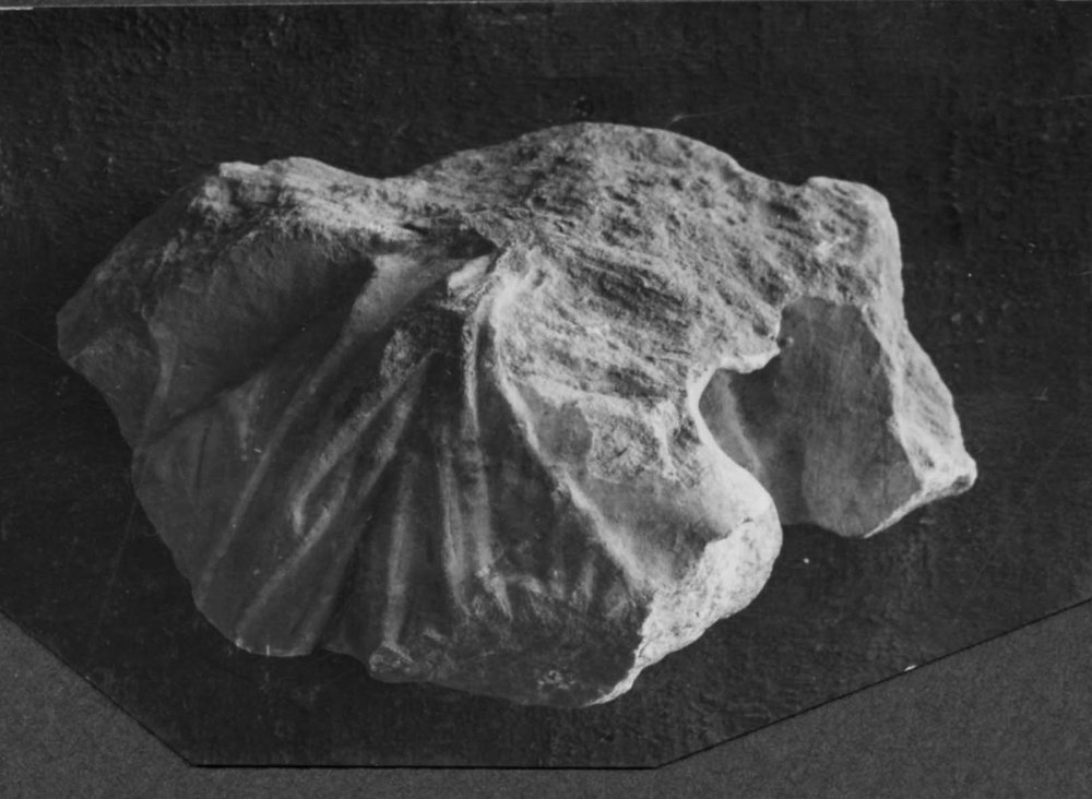 AF - F 102-asf019167.jpg