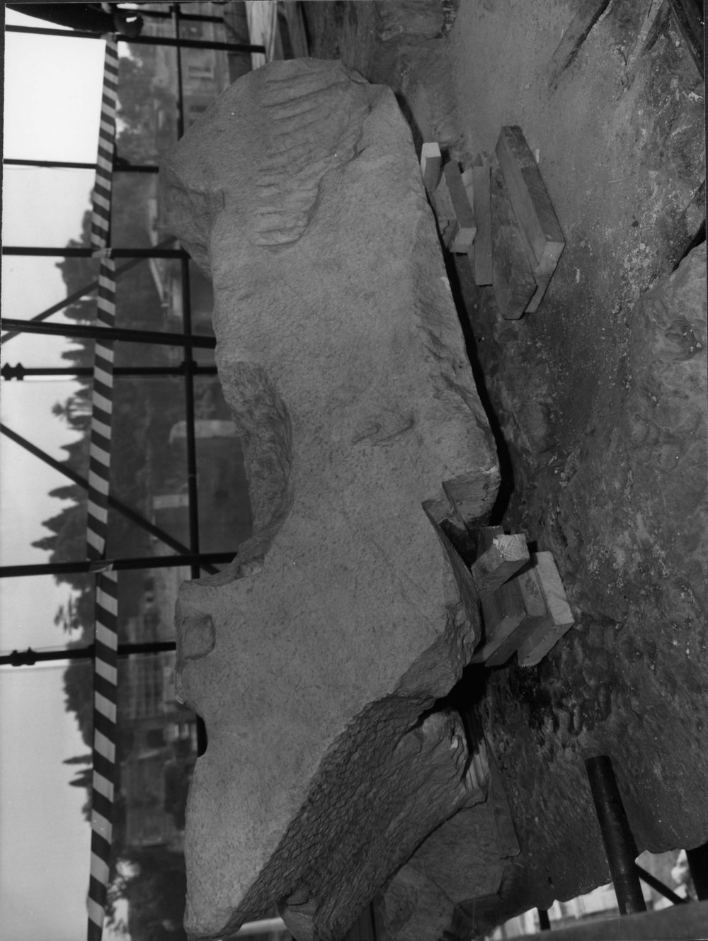 89 - FR - TS - R-asf018231.jpg