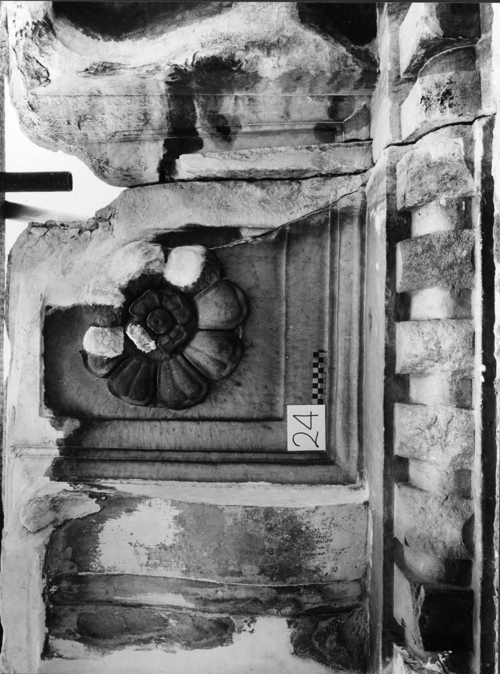 55 - FR - TS - R-asf018197.jpg
