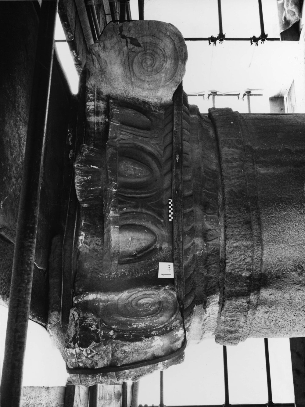 7 - FR - TS - R-asf018149.jpg