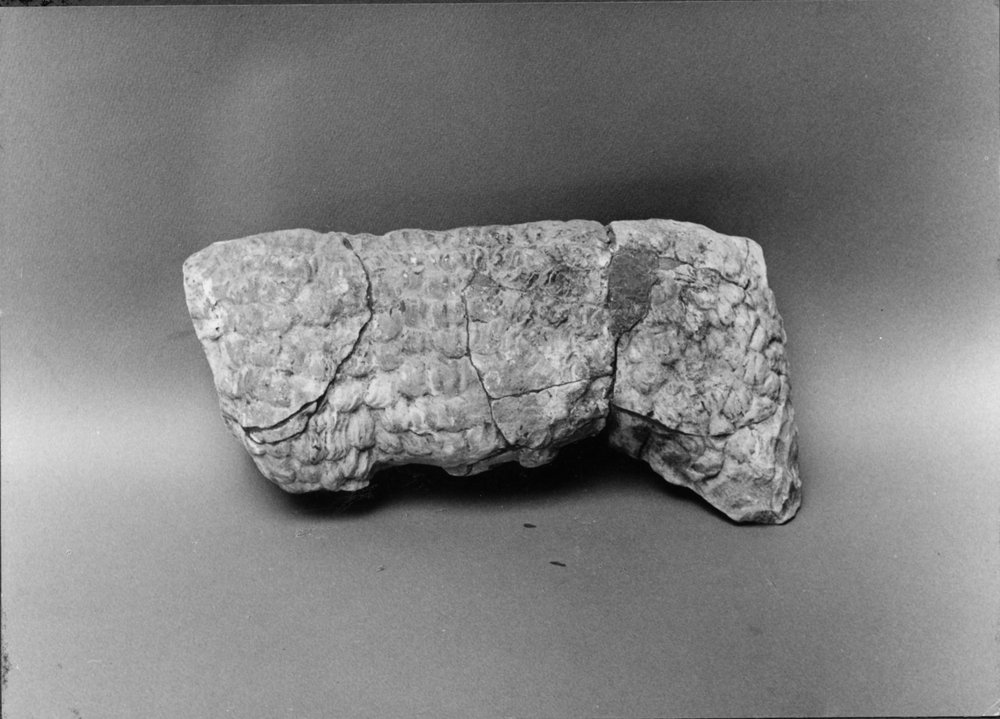 FR-TCo-A 27-asf017858.jpg