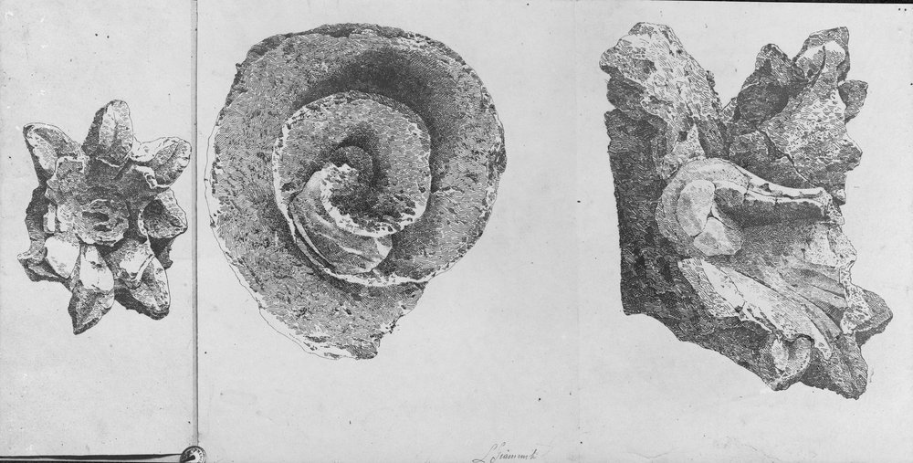 13 FR-CC-asf012713.jpg
