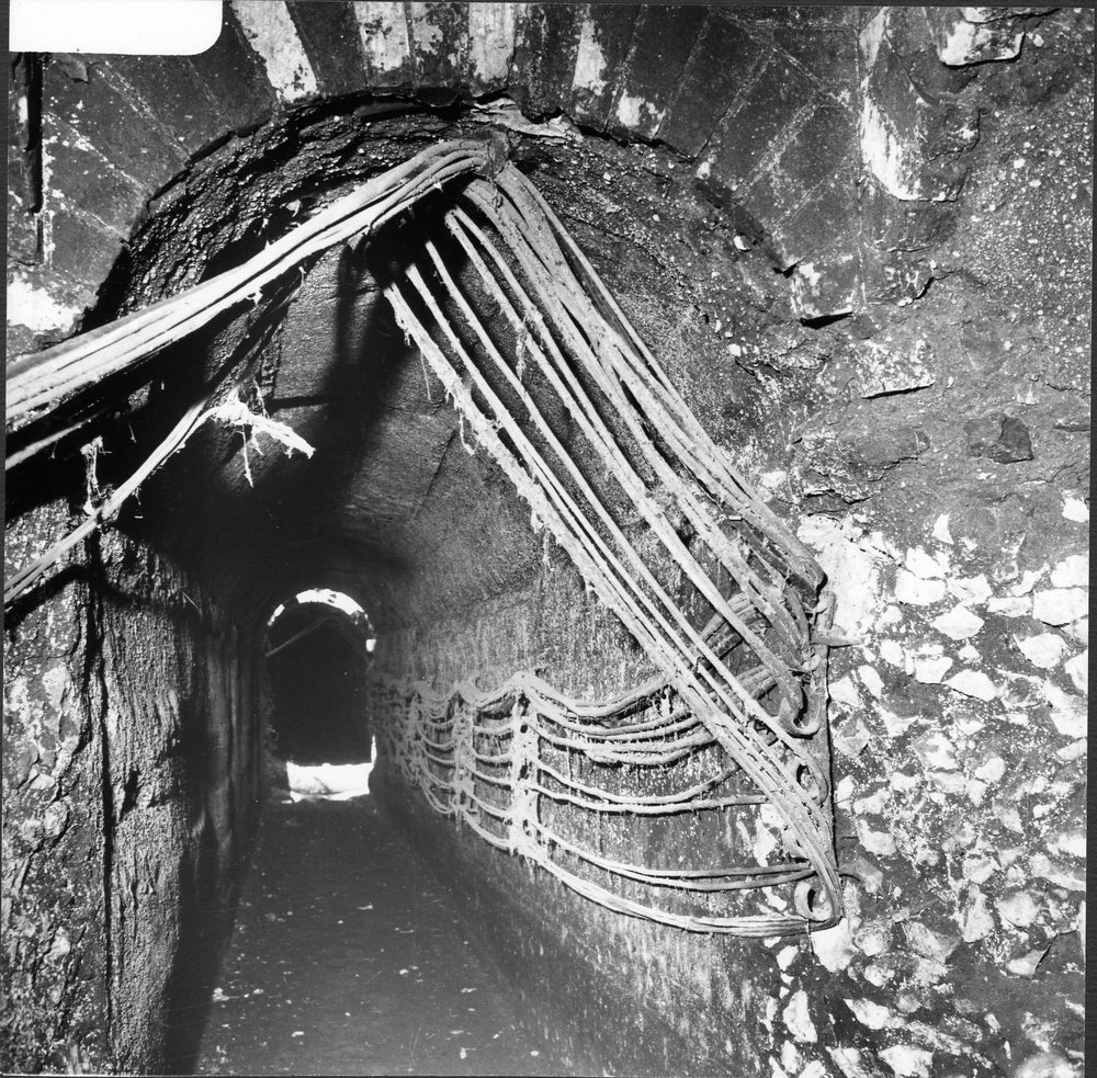 10 FR-CM-asf012724.jpg