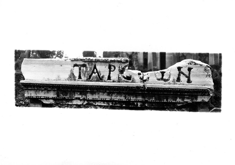 19 FR - VS -R-asf018861.jpg