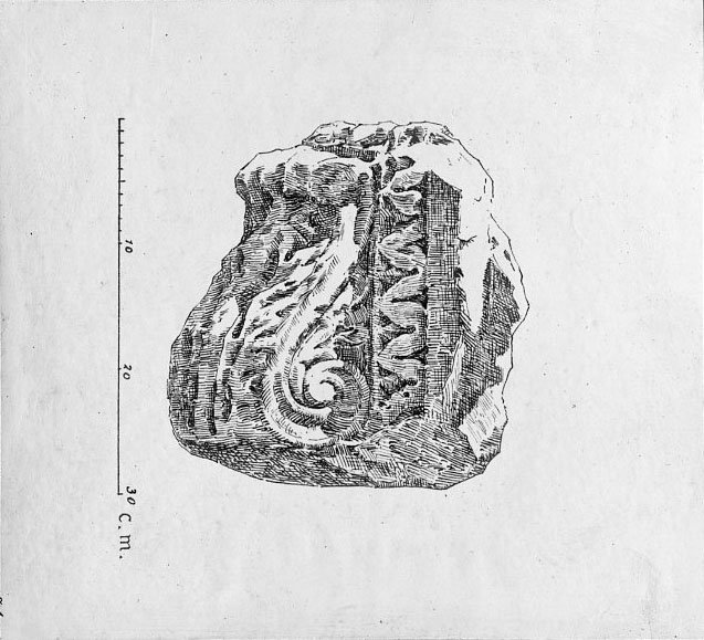 2 FR - VS -R-asf018827.jpg