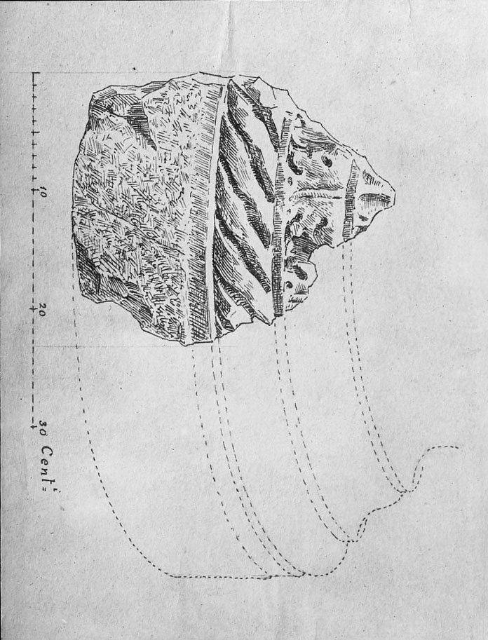 5 FR - VS -R-asf018833.jpg