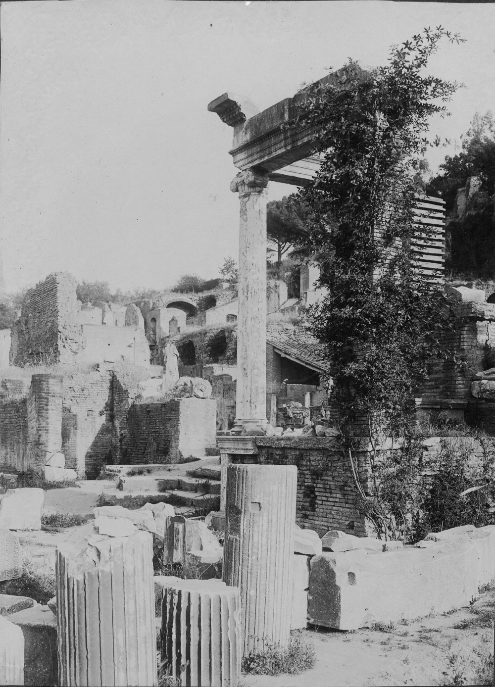 8 FR-CV-E-asf012565.jpg
