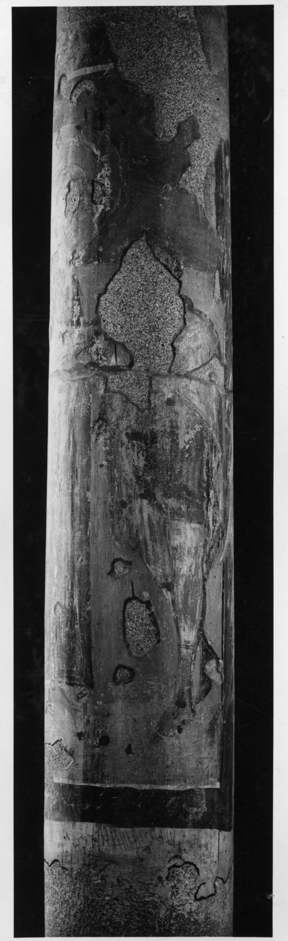 17 FR- SMA- DP-asf016279.jpg