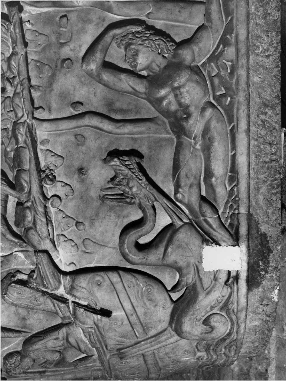 31 FR- SMA- R-asf016515.jpg