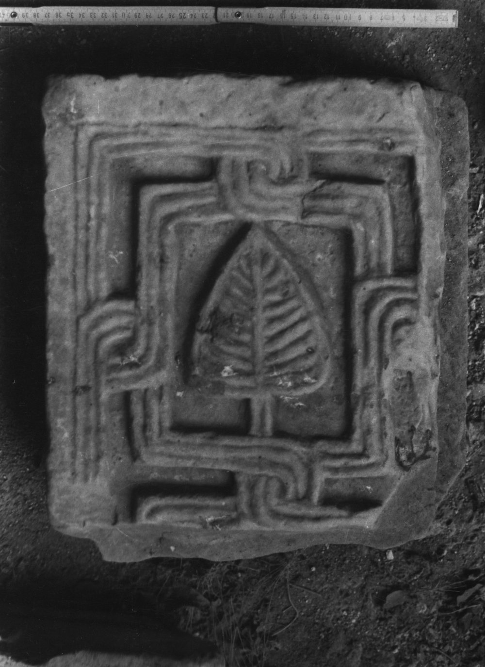 50 FR- SMA- R-asf019406.jpg
