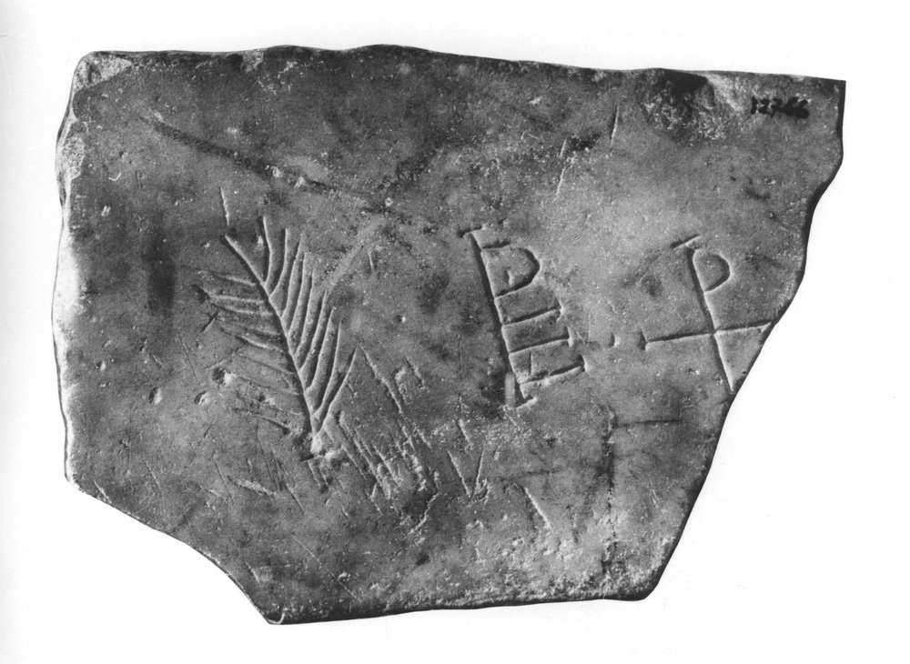 66 FR- SMA- R-asf019463.jpg