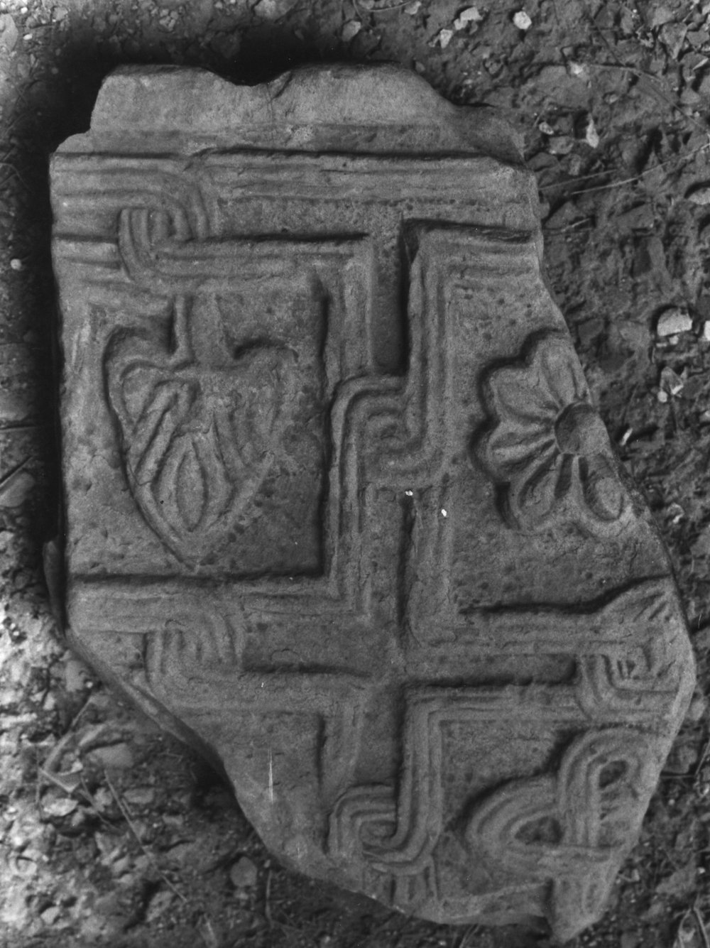 50 FR- SMA- R-asf019404.JPG