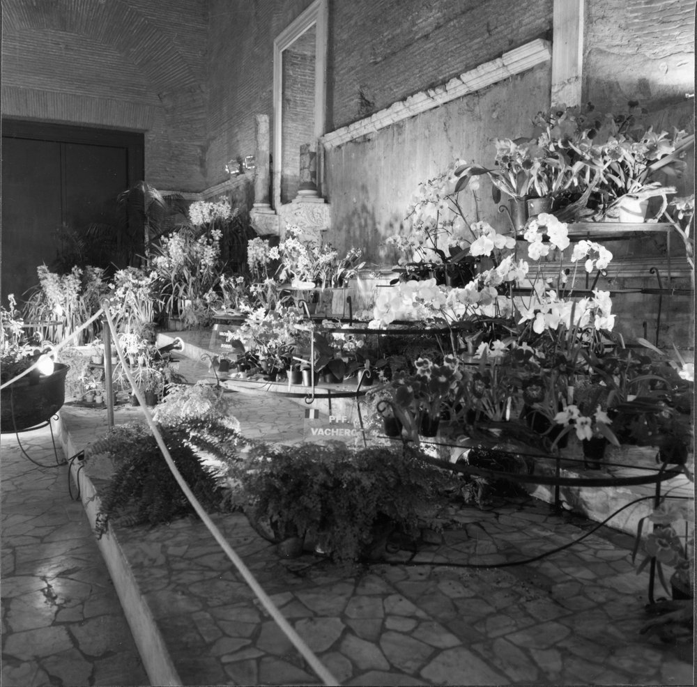 48 FR-M-asf013398.jpg