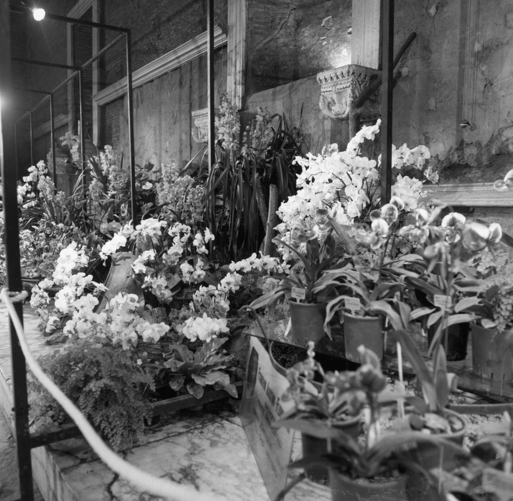 50 FR-M-asf013410.jpg
