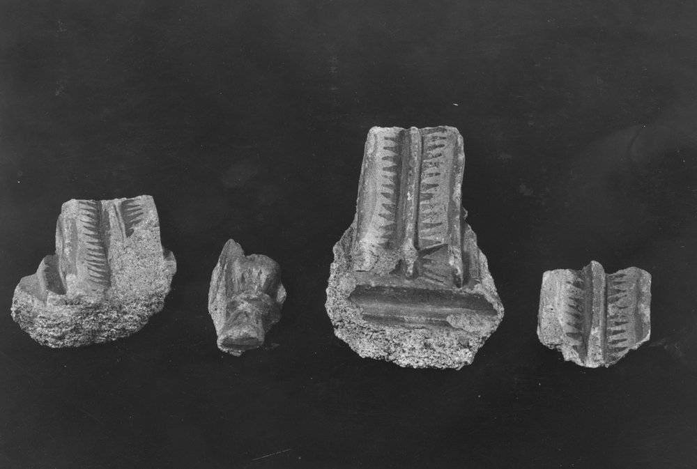 AP-PIS 029- asf000526.JPG