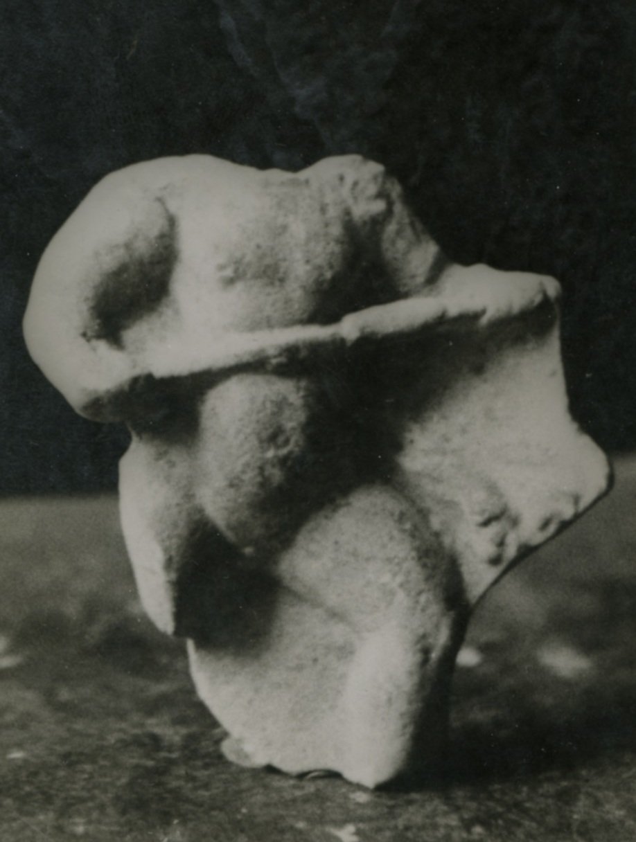 AP-SV012-Manca.jpg