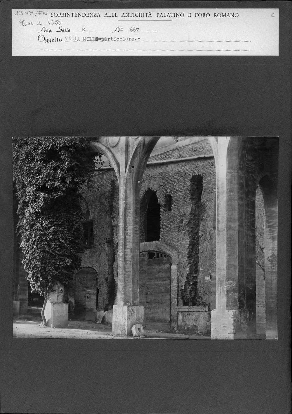 VM - FN019.tif