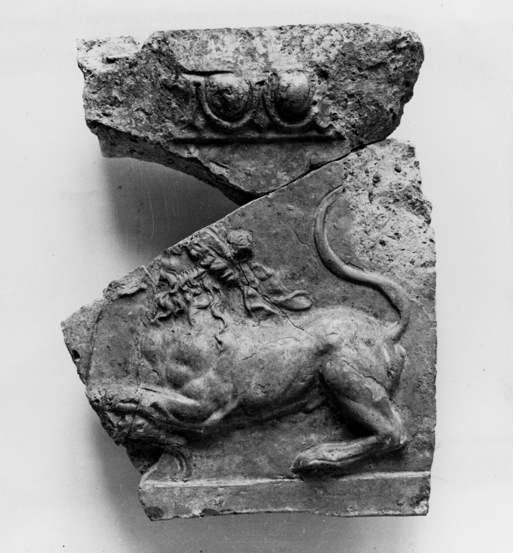 AP- LR100-asf000891.jpg