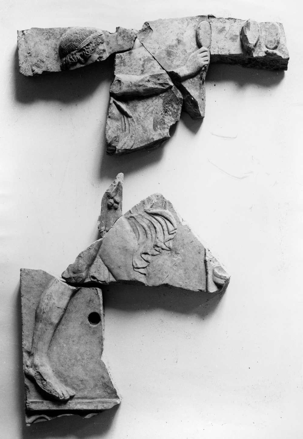 AP-LR031-asf000816.JPG