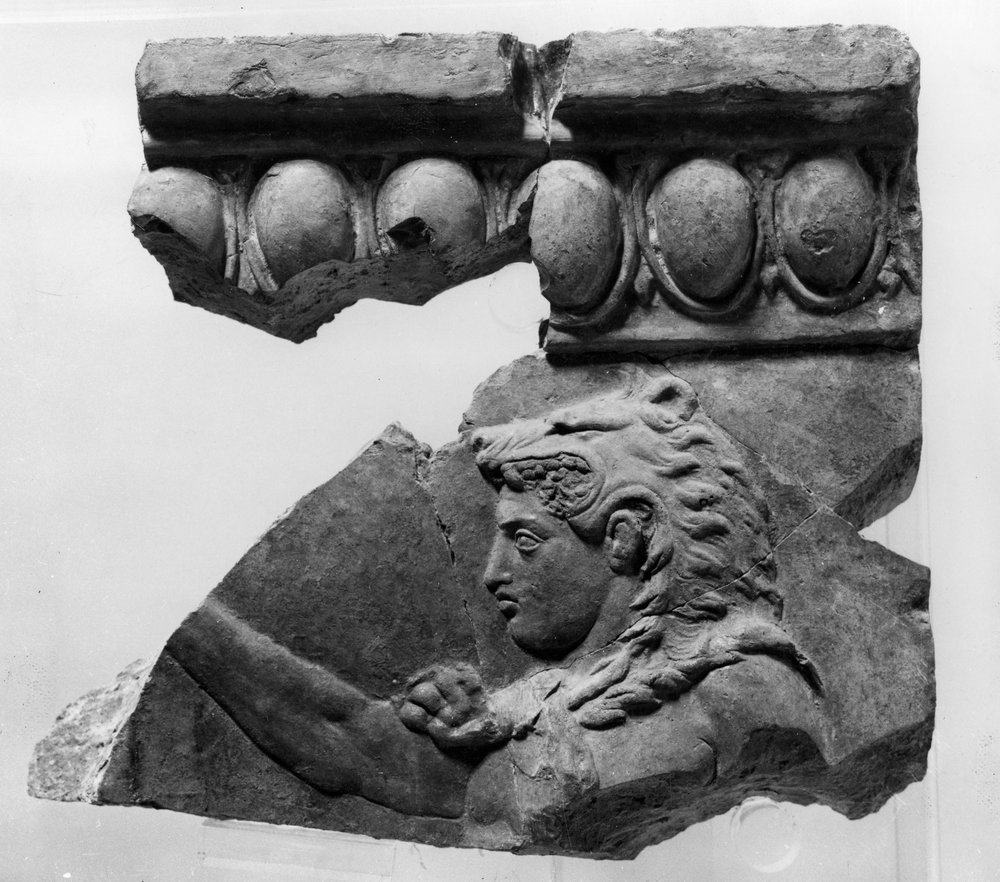 AP-LR033-asf000818.JPG