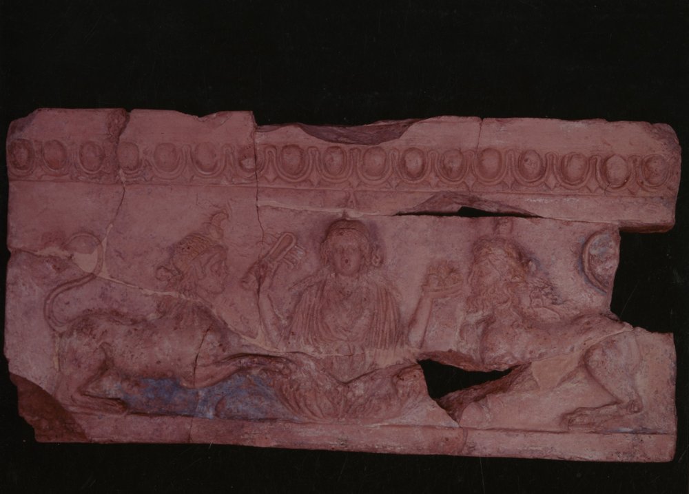 AP- LR086-asf000123.jpg