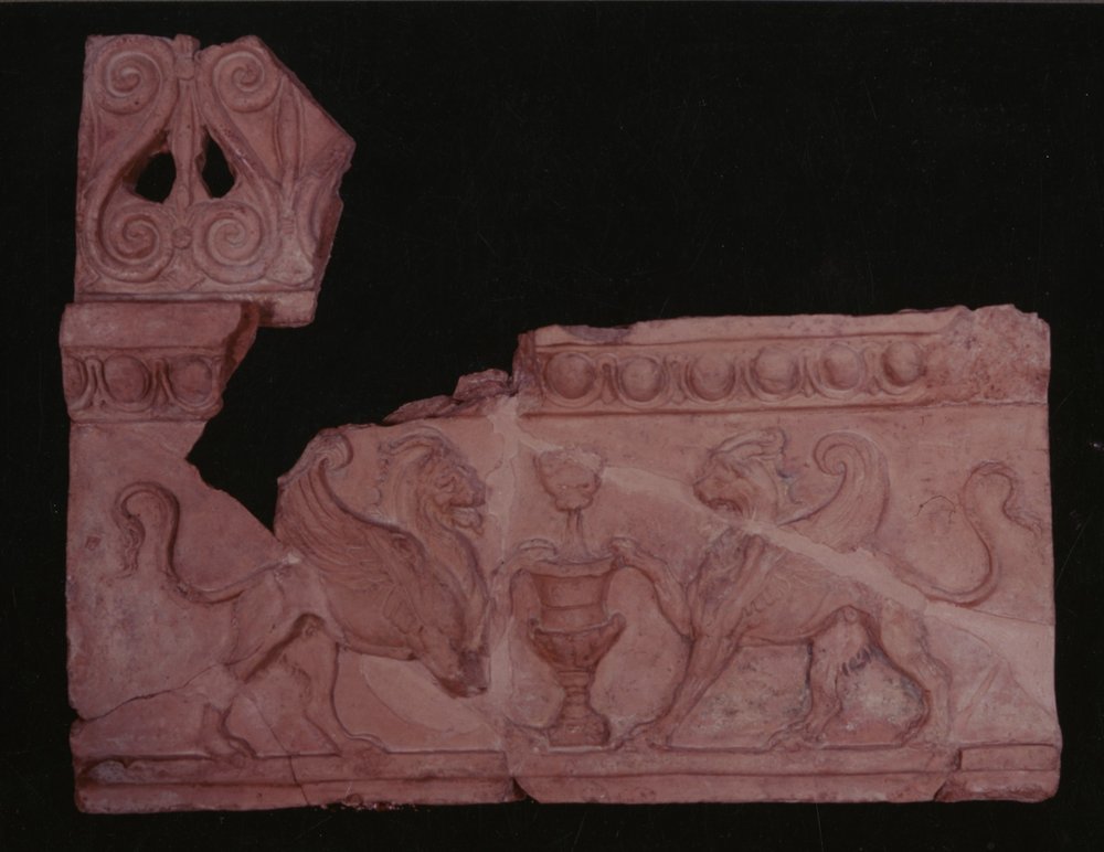 AP- LR081-asf000871.jpg