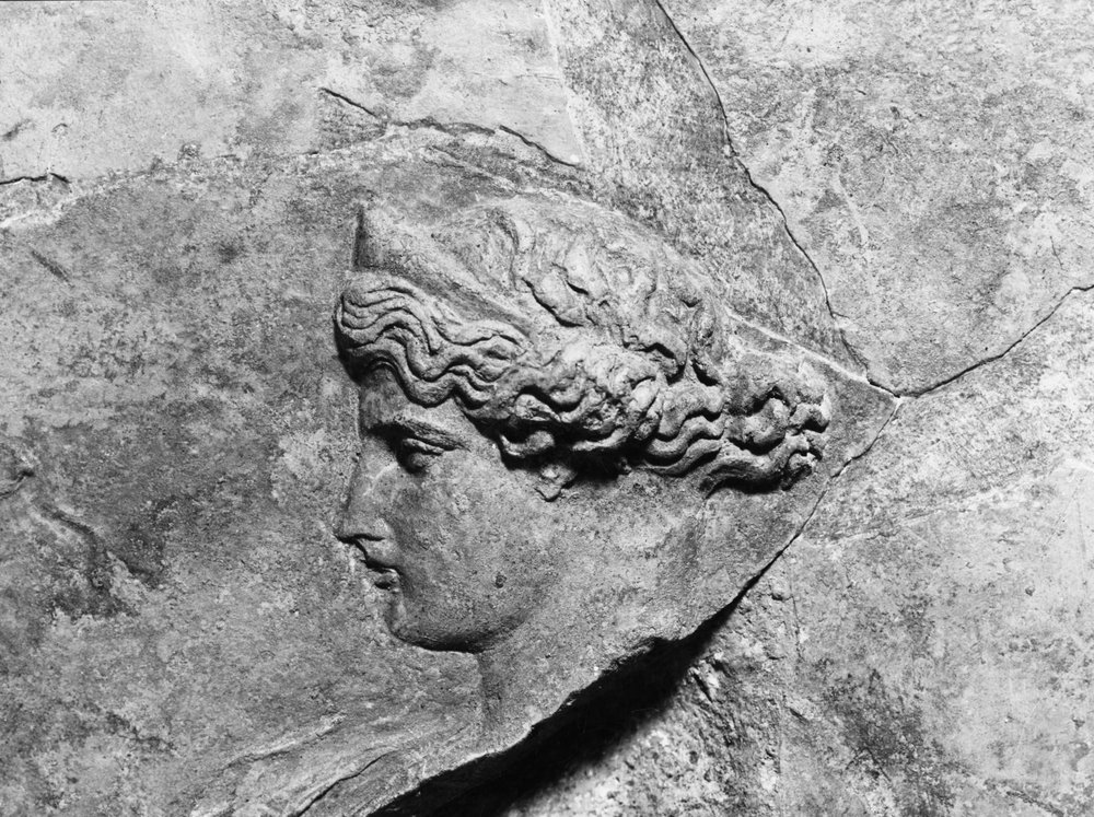 AP- LR070-asf000859.jpg