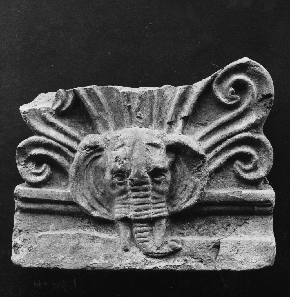 AP-AF042-asf000764.jpg