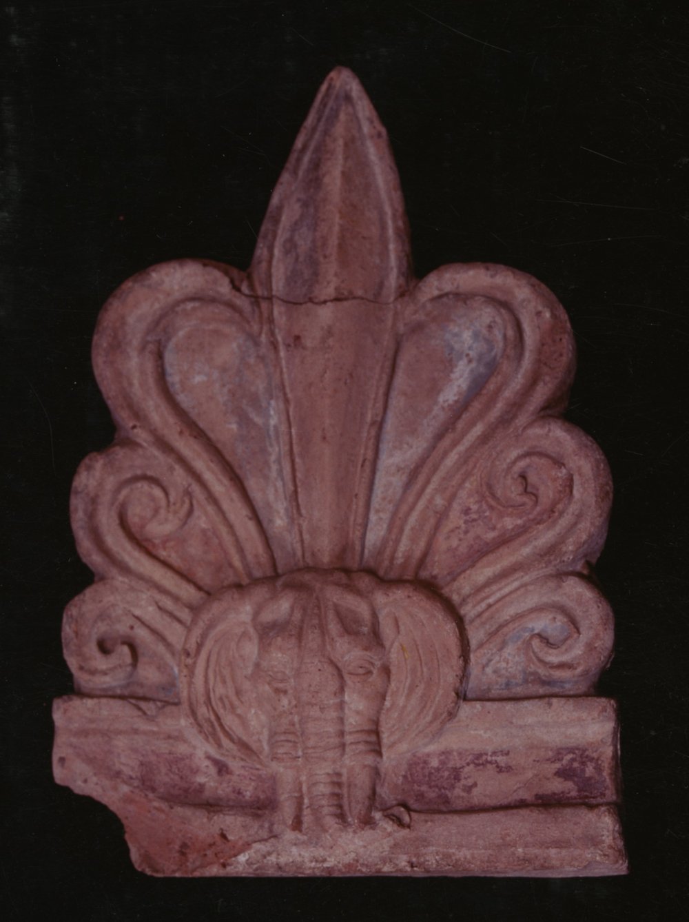AP-AF034-asf000755.jpg