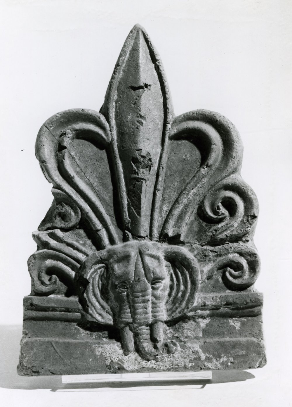 AP-AF036-asf000758.jpg