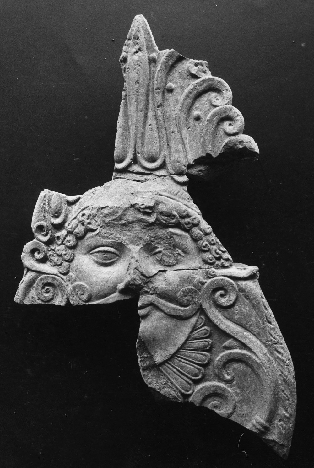 AP-AF046-asf000769.jpg
