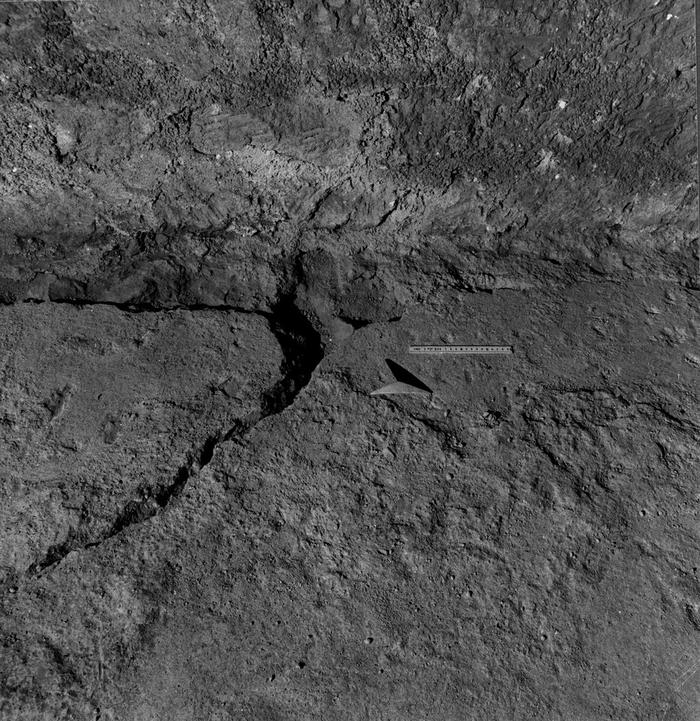 APPS057-asf000962.jpg