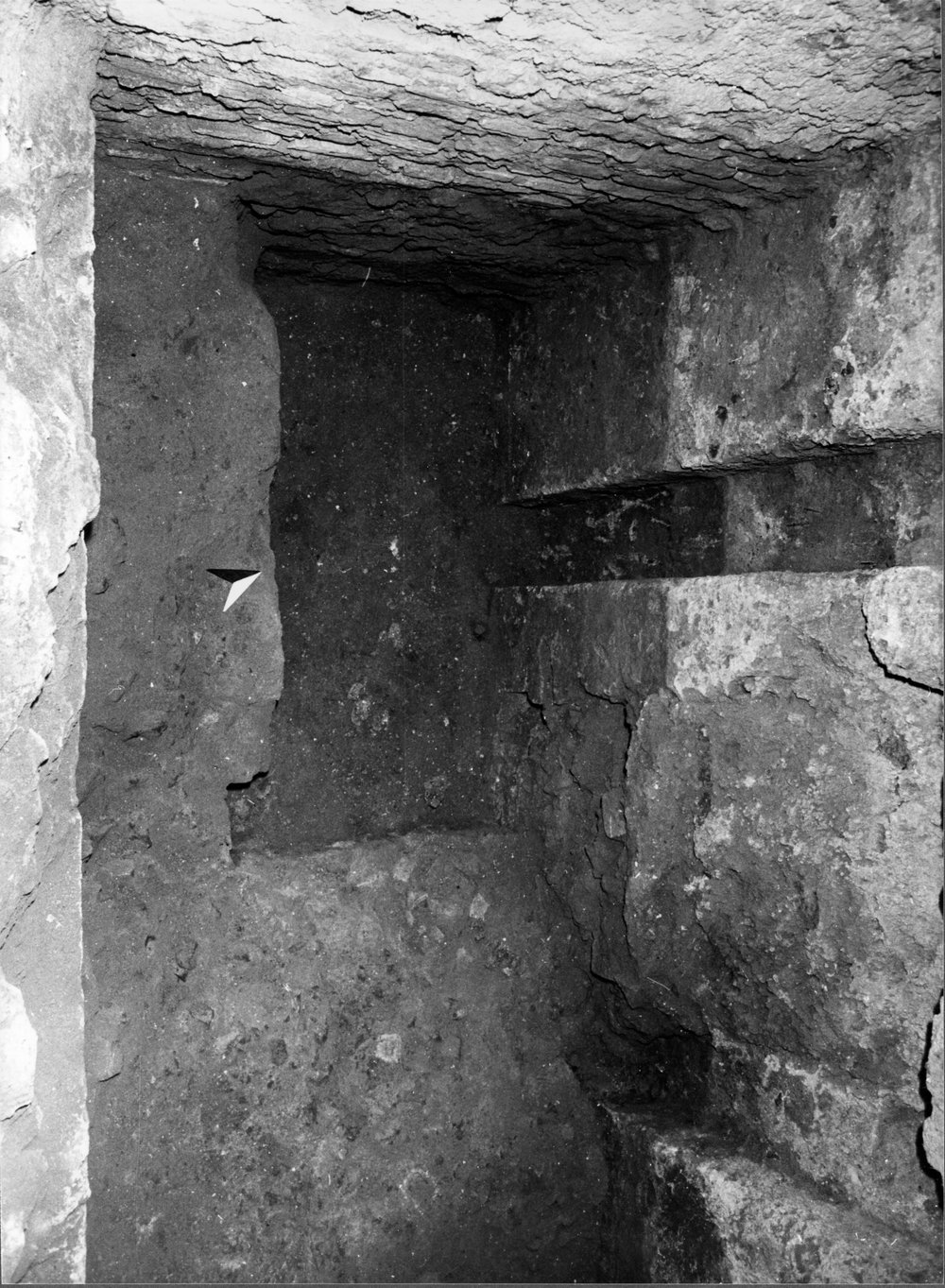 APPS039-asf000950.jpg