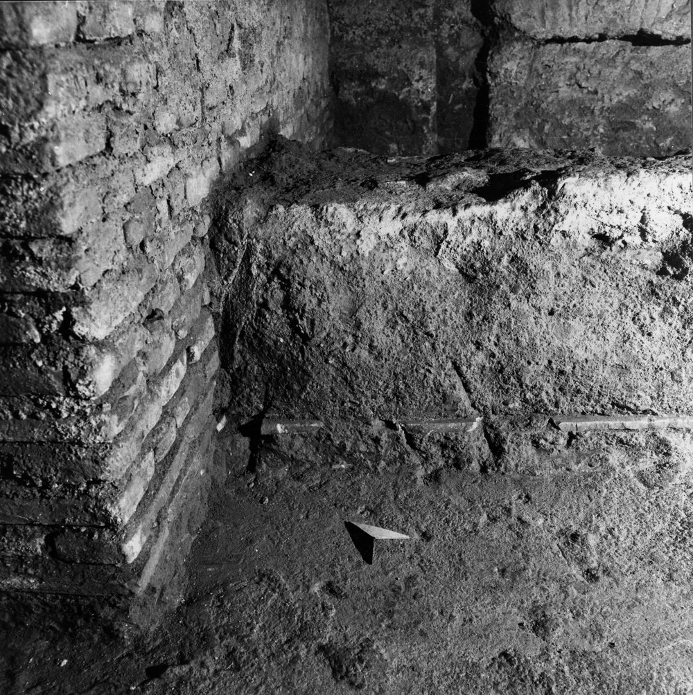 APPS049-asf000956.jpg